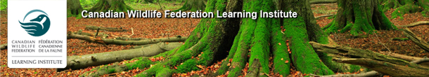 LI-Email-Header