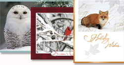 robert bateman cards 250