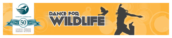 dance for wildlife email banner