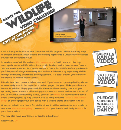dance for wildlife homepage 400