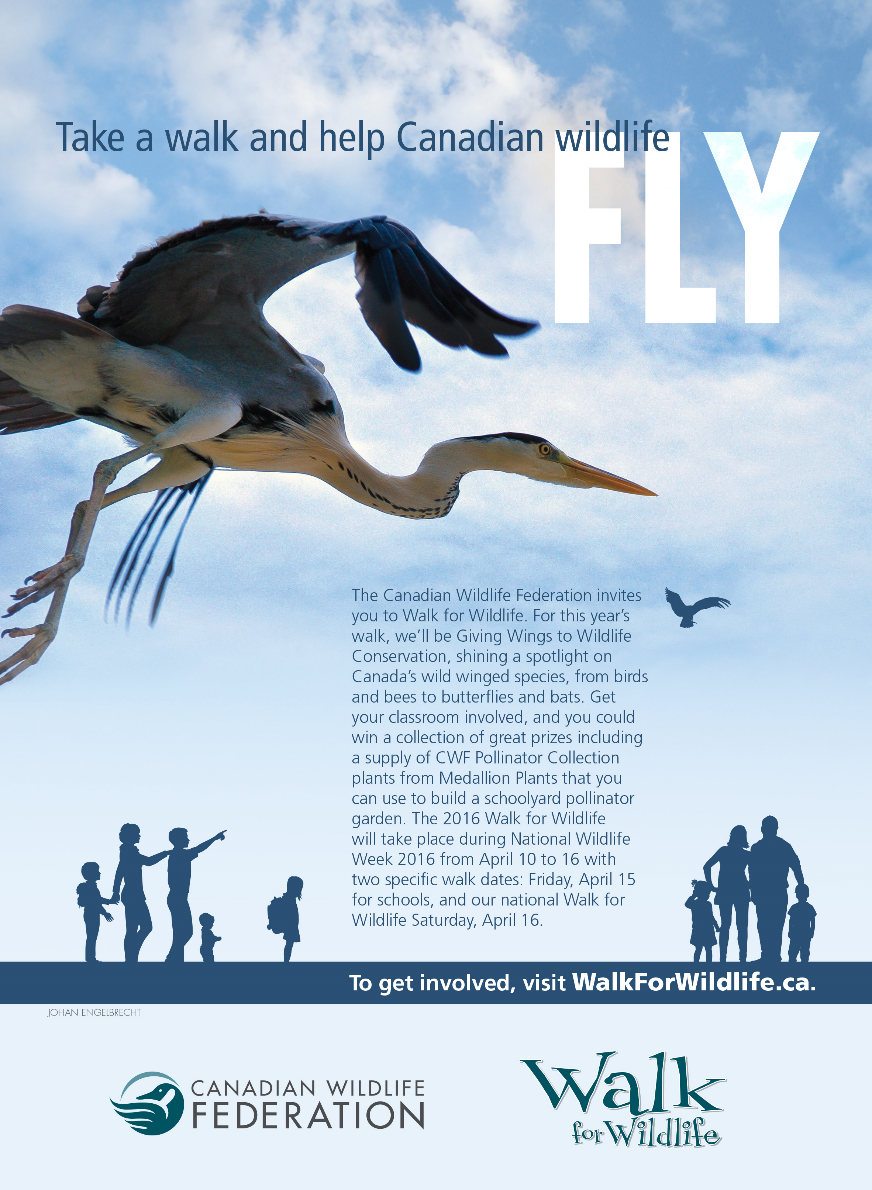 Canadian Wildlife Federation National Wildlife Week Gives Wings to