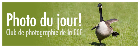 Club de photographie de la FCF