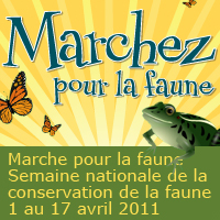 SNF 2011 200