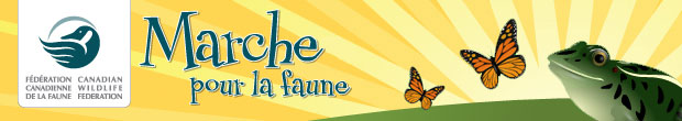 w4w nww 2011 fr email banner