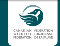 CWF Logo