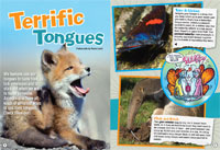 WILD magazine Dec 09 latest issues